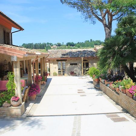 B&B Il Cavallino Civitanova Alta Exterior photo