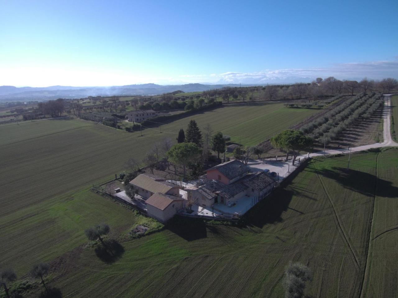 B&B Il Cavallino Civitanova Alta Exterior photo